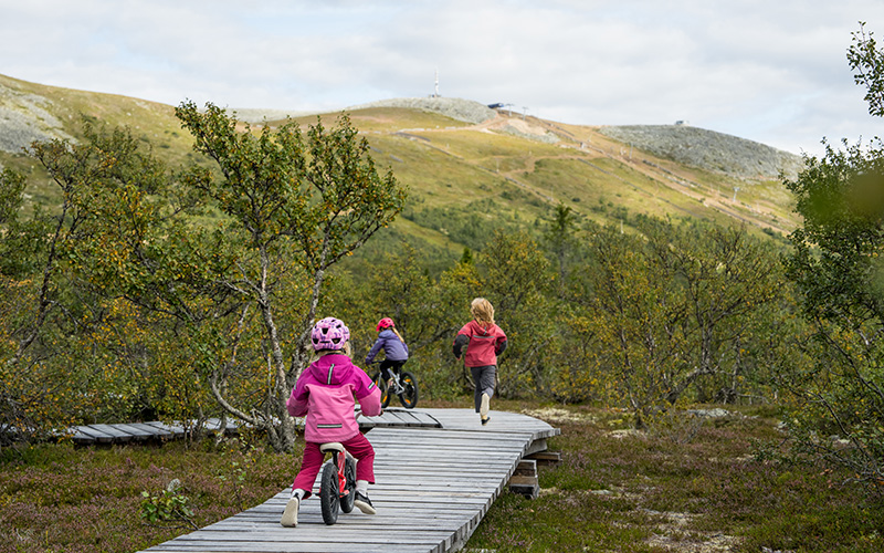 Tre venner på enkel fjeldvandring