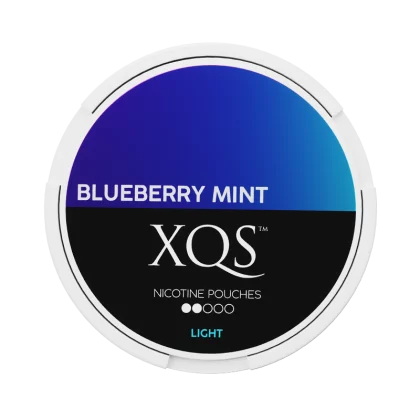 XQS Blueberry Mint 4mg Slim