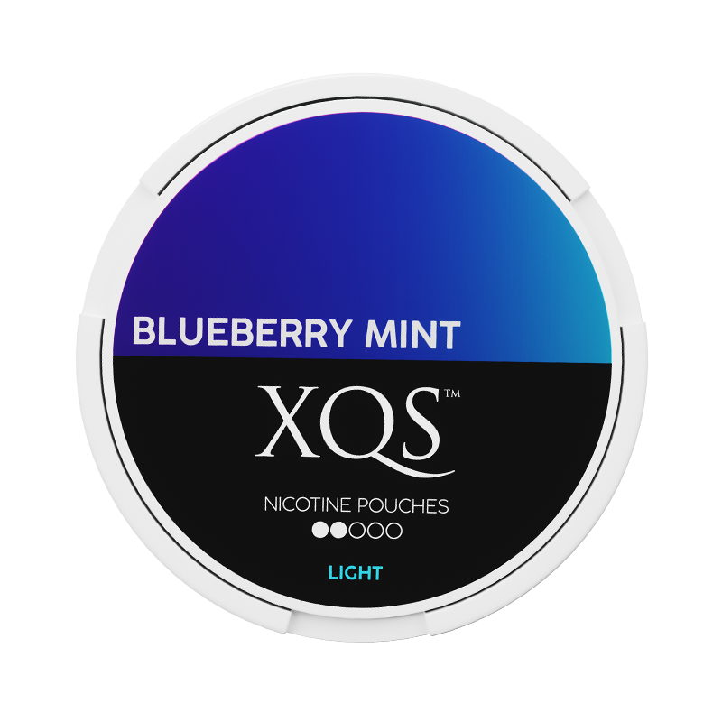 XQS Blueberry Mint 4mg Slim