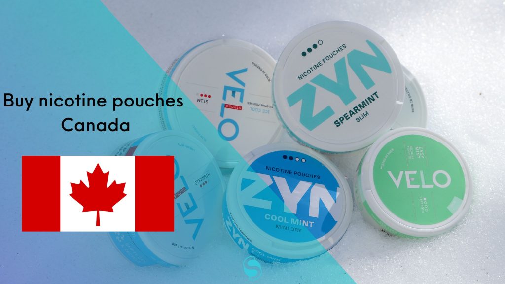Buy Nicotine Pouches Canada 🇨🇦 Swenico