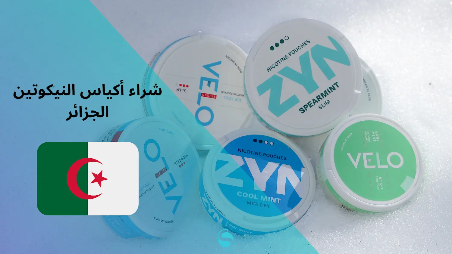 NICOTINE-POUCH-6-kopia-3.webp?media=1685967669