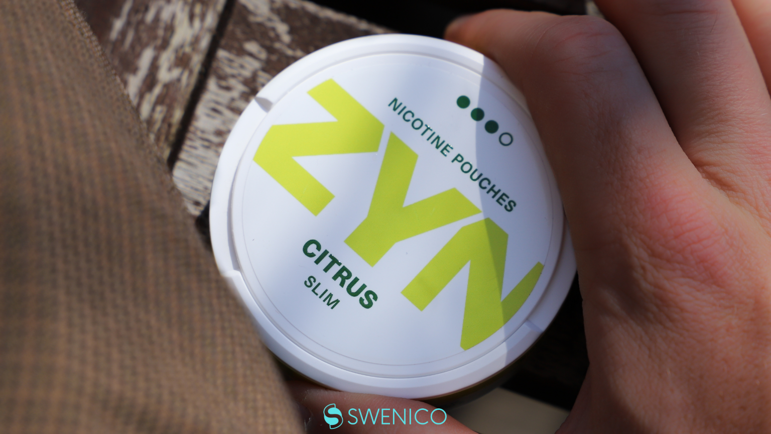Zone X Nicotine Pouches Everything you need to know! Swenico