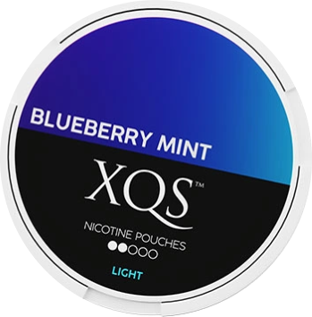 XQS Blueberry Mint Light All White Snus