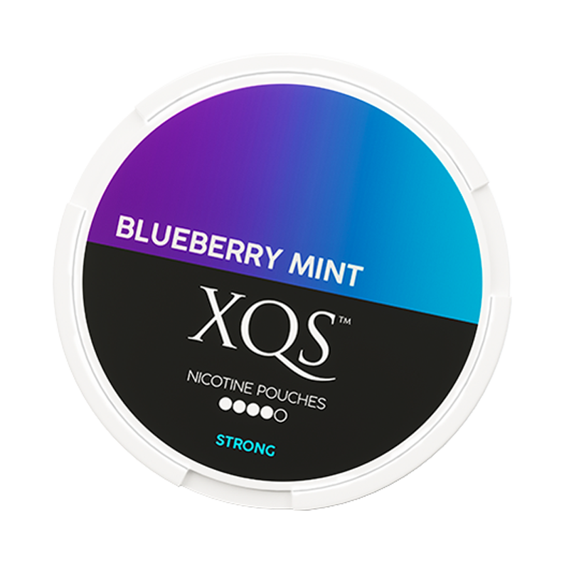 XQS Blueberry Mint Slim Extra Strong