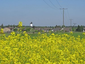 Dorf- Foto-Impressionen