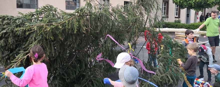 Maibaum aufstellen 2019