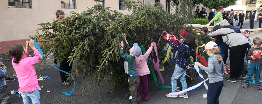 Maibaum aufstellen 2019