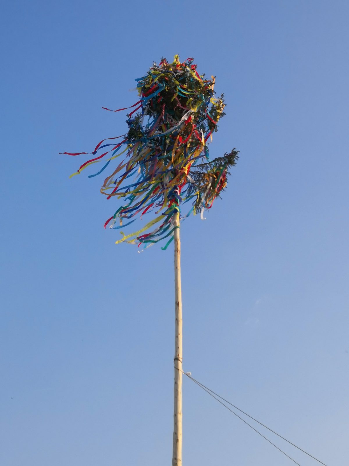 Maibaum aufstellen 2019