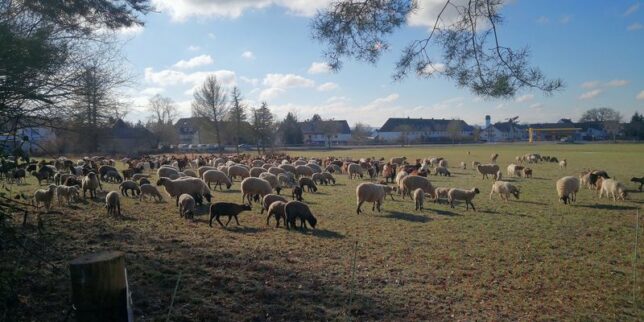 Foto- Impressionen von Buschhoven