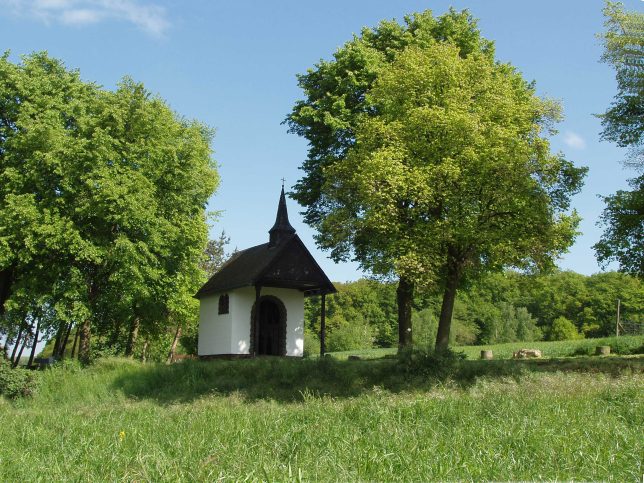 Foto Impressionen aus Buschhoven