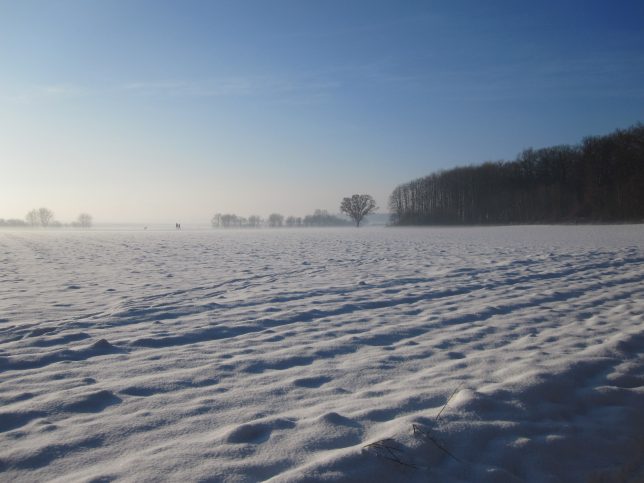 Foto Impressionen aus Buschhoven