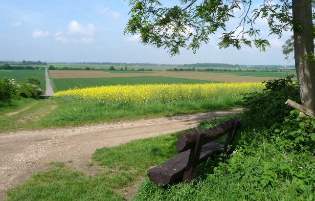 Foto Impressionen aus Buschhoven