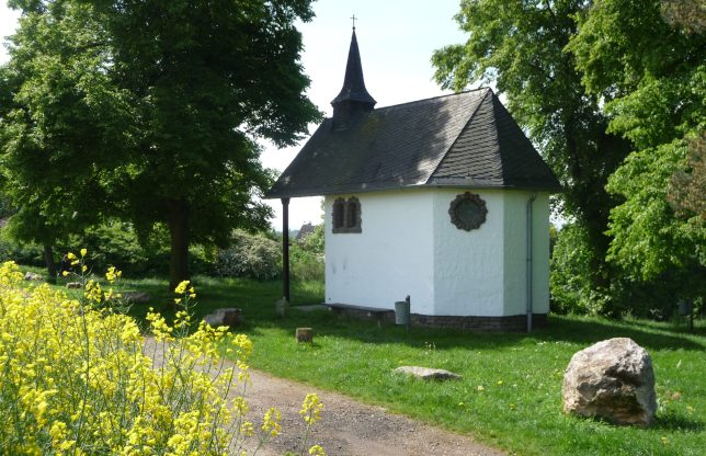 Foto Impressionen aus Buschhoven