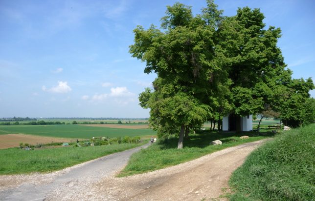 Foto- Impressionen von Buschhoven