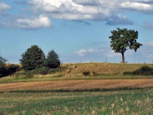 Dorf- Foto-Impressionen