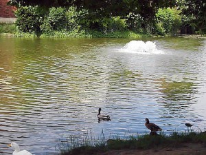 Dorf- Foto-Impressionen