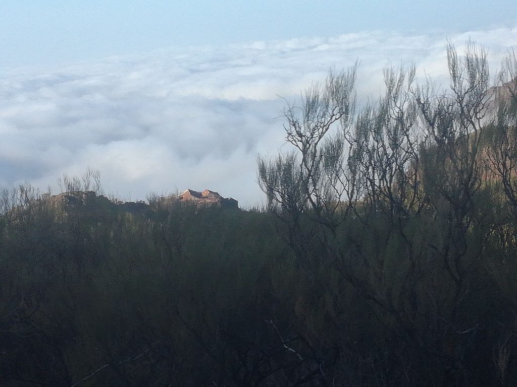 Udsigt fra Teide, Tenerife