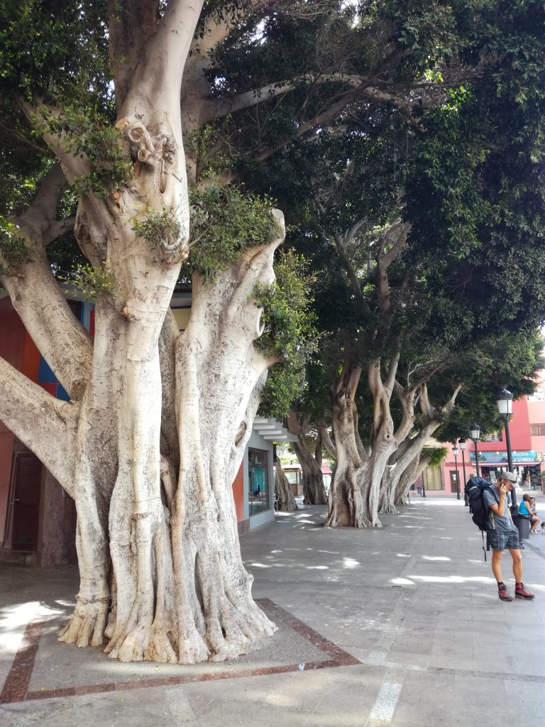 San Sebastian, La Gomera