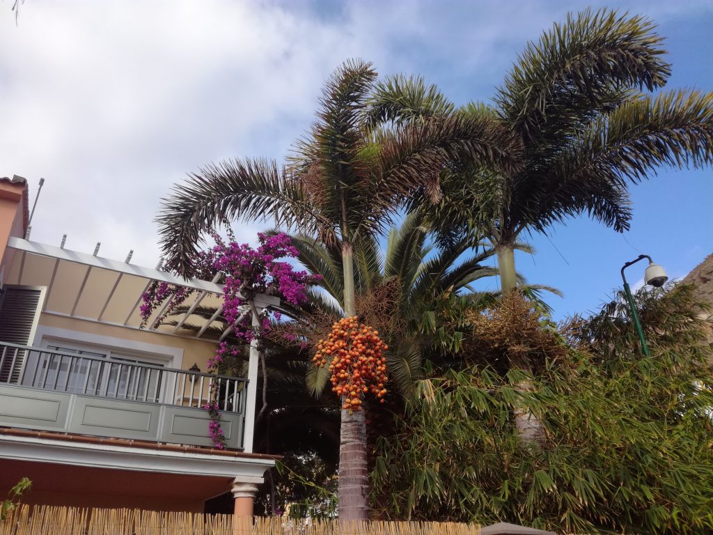 Puerto Mogan, Gran Canaria