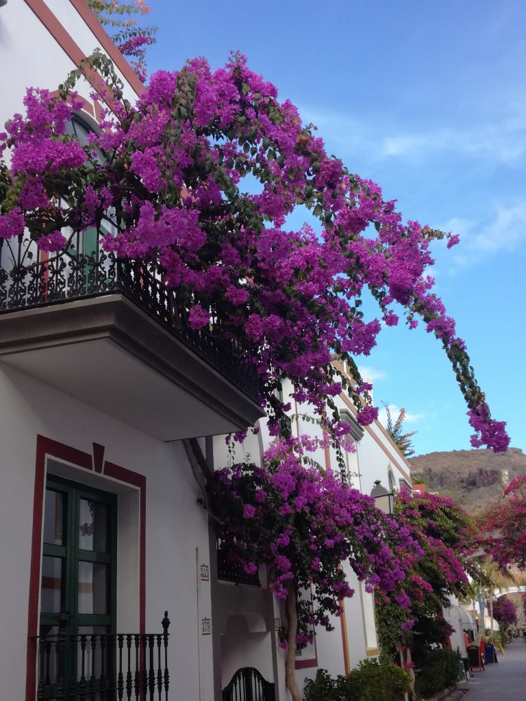 Puerto Mogan, Gran Canaria