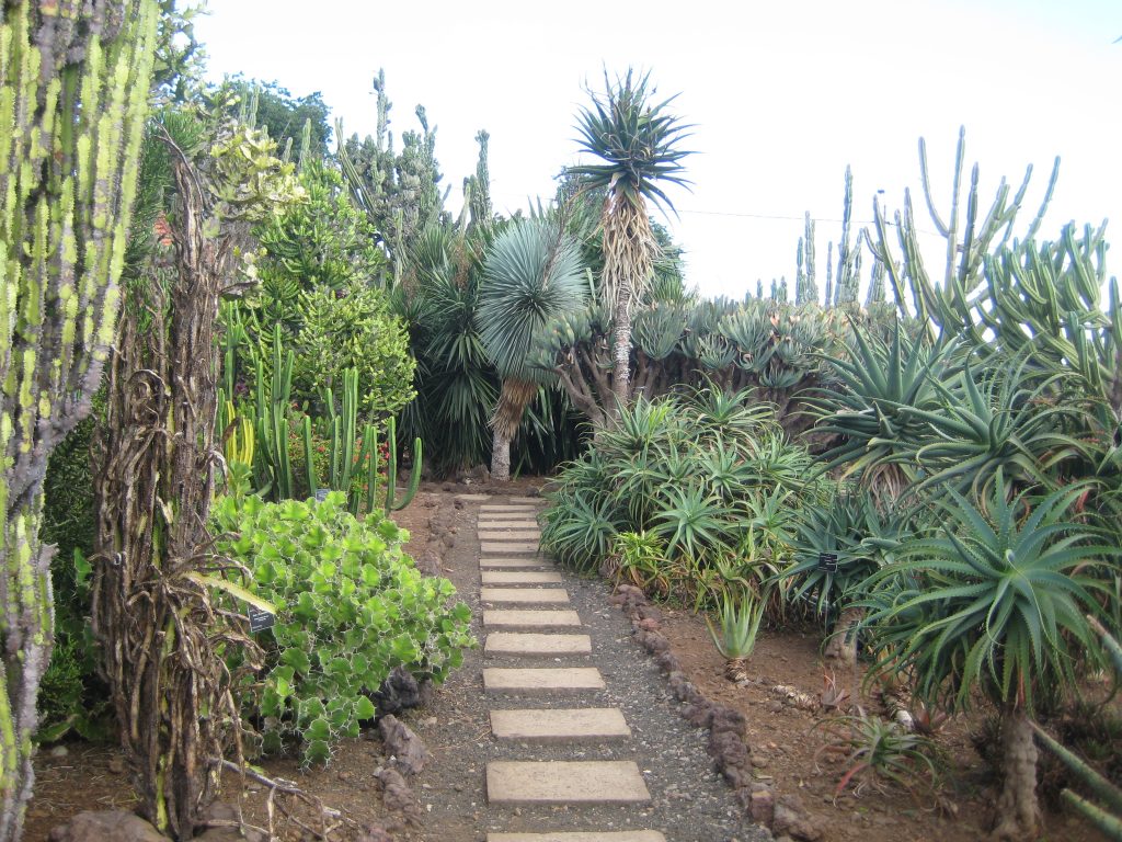 Botanisk Have, Funchal, Madeira