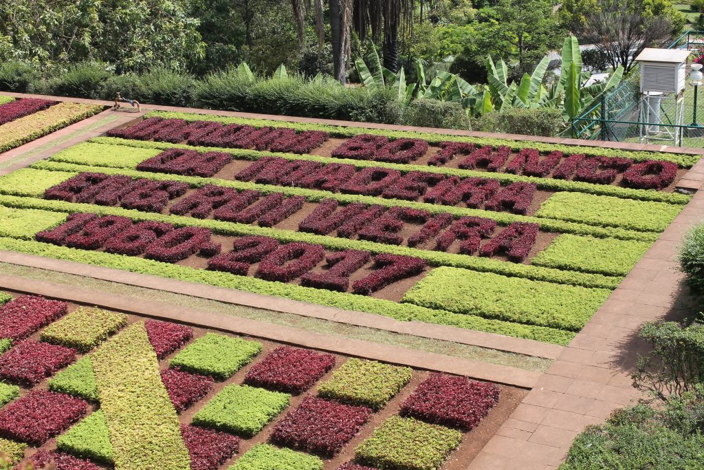 Botanisk Have, Funchal, Madeira