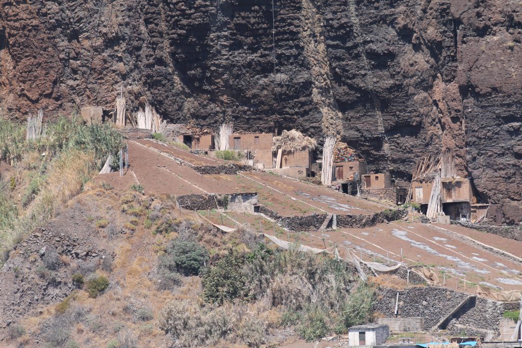 Afgrøder ved vandet, Madeira