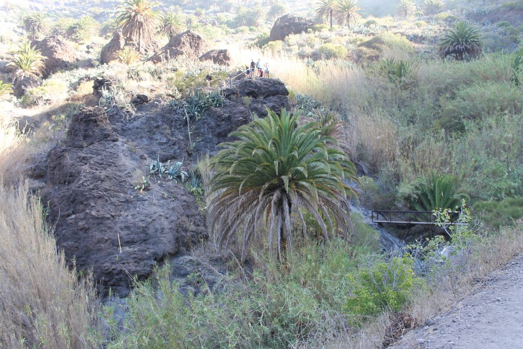 Masca, Tenerife