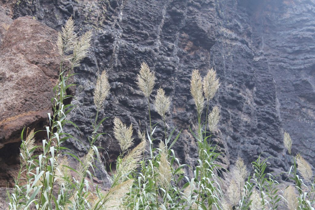 Masca, Tenerife