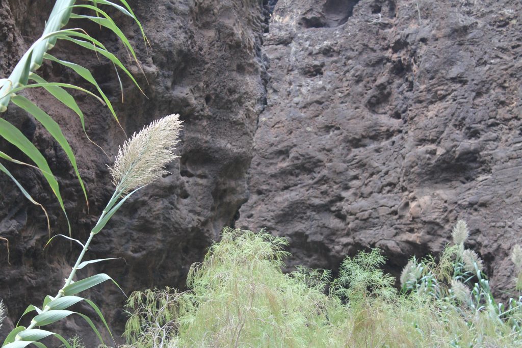 Masca, Tenerife