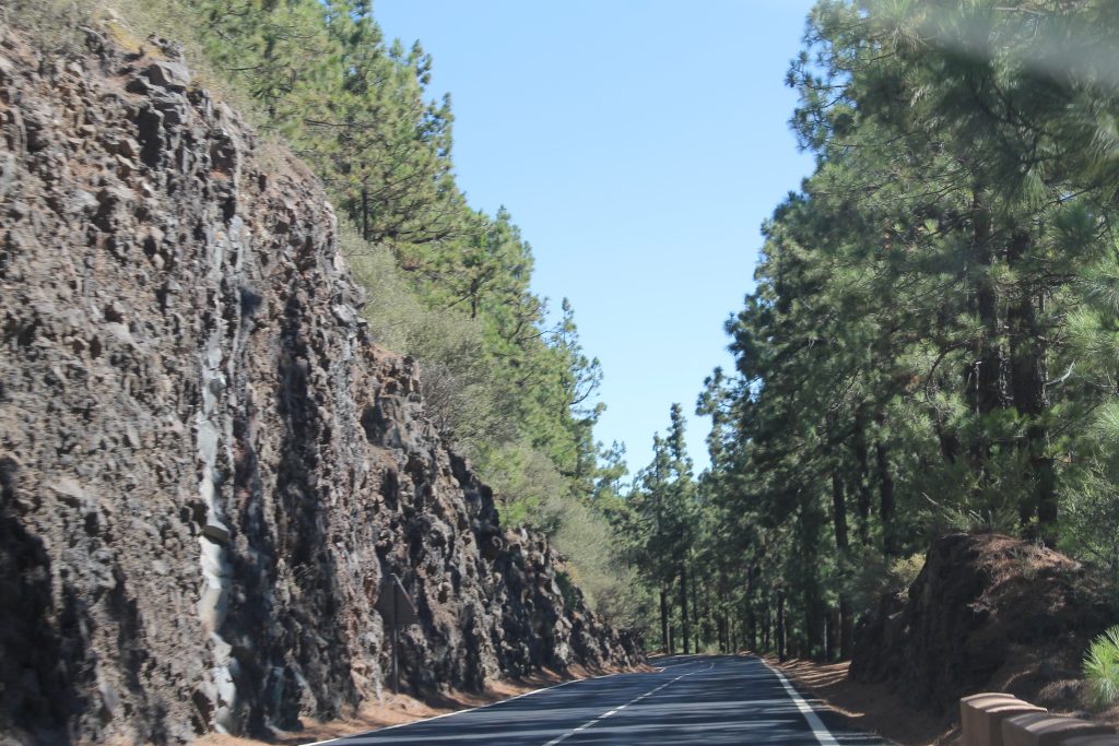 Køretur på Tenerife