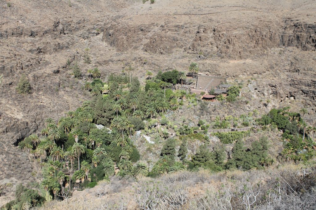 Køretur på Gran Canaria