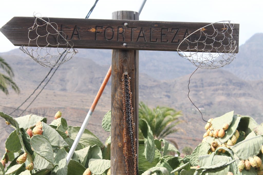 Lokal restaurant på Gran Canaria