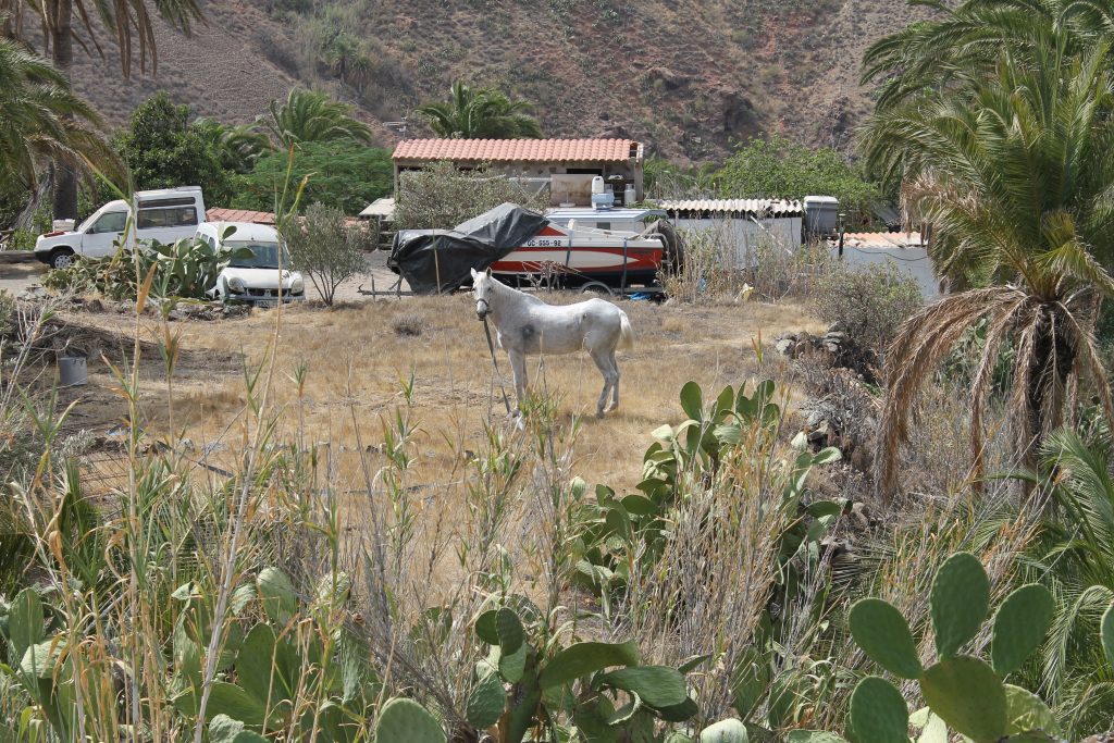 Køretur på Gran Canaria