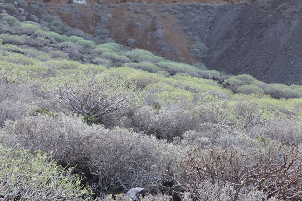 El Hierro