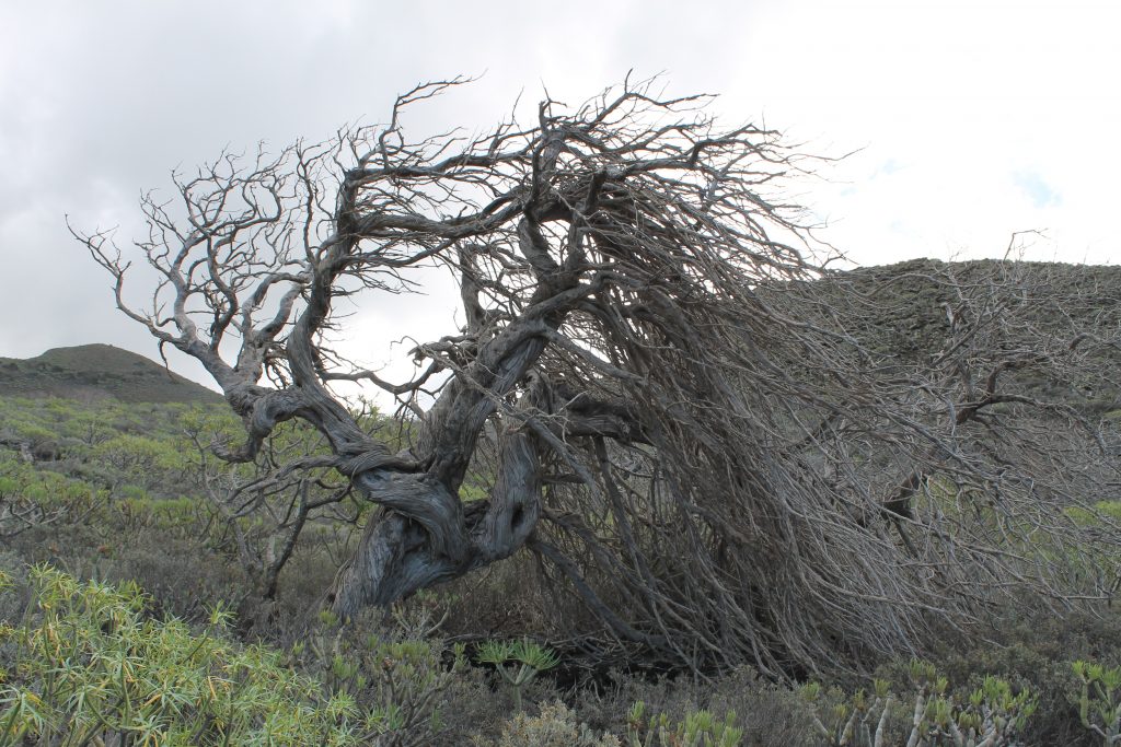 El Hierro