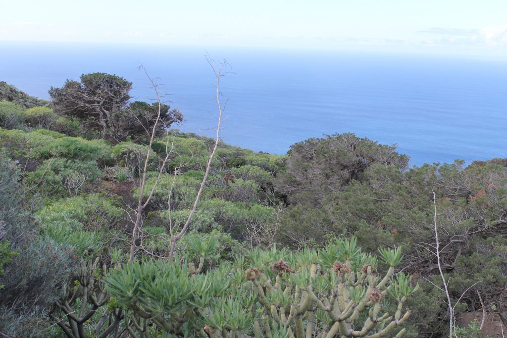 El Hierro