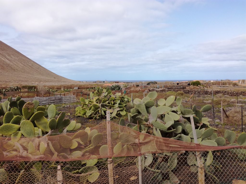 Cykeltur på La Graciosa