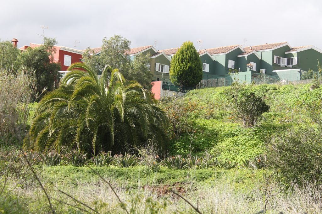 På tur til Arucas på nord Gran Canaria