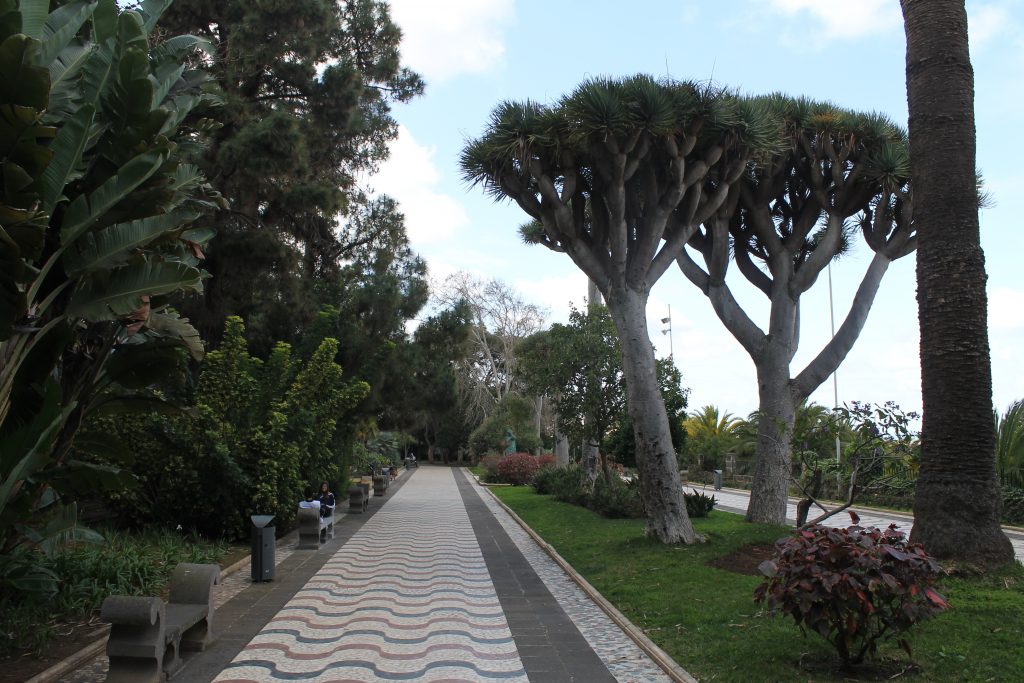 Parken i Arucas, nord Gran Canaria