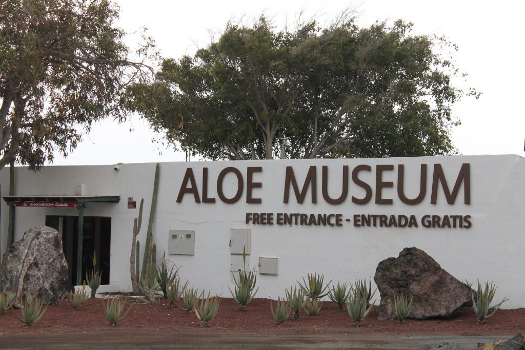 Aloe Vera Museum 