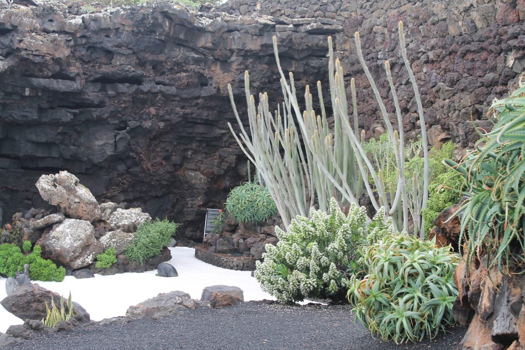 Jameos del Agua Grotten