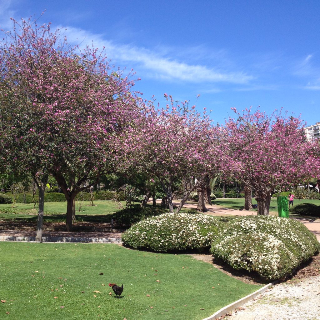 Benalmadena Park