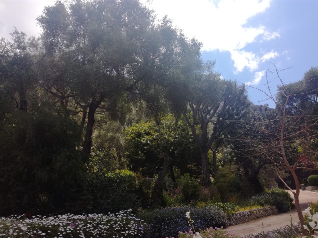 Botanisk Have Gibraltar