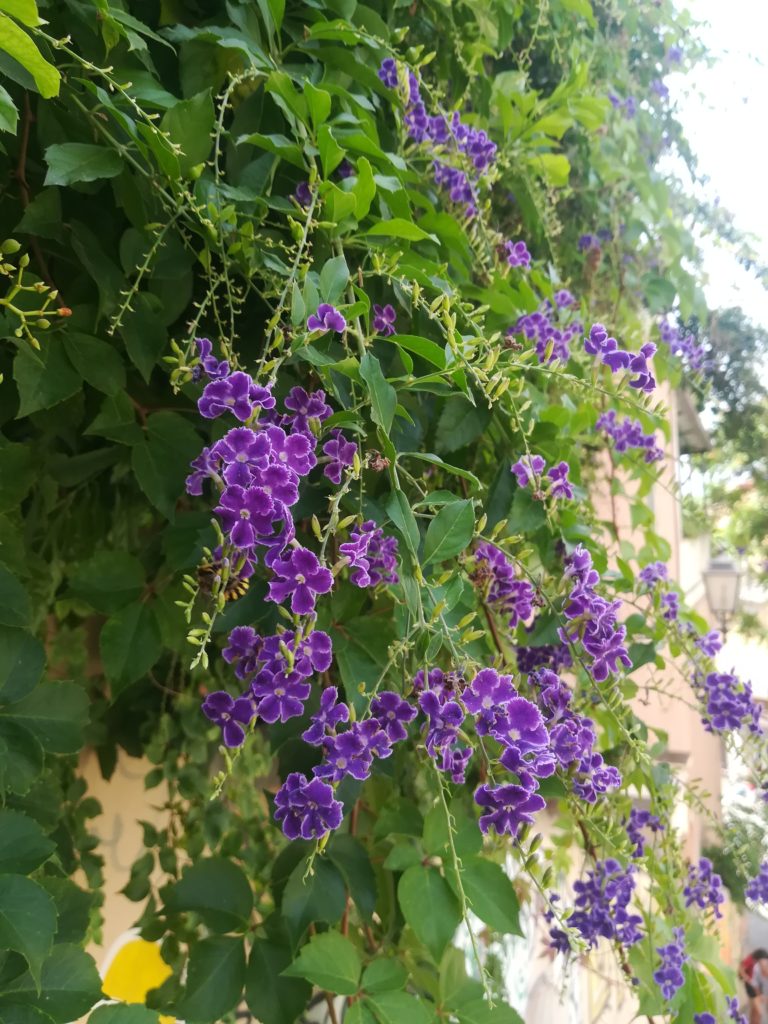 Cagliari