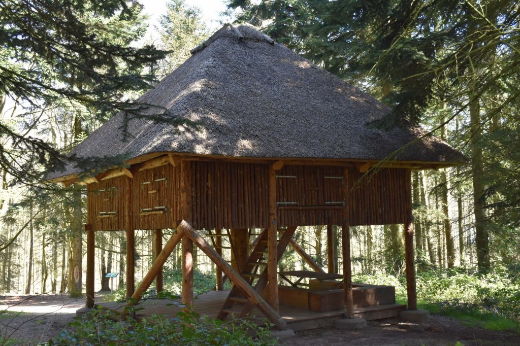 Shelter i Dyreborg Skov