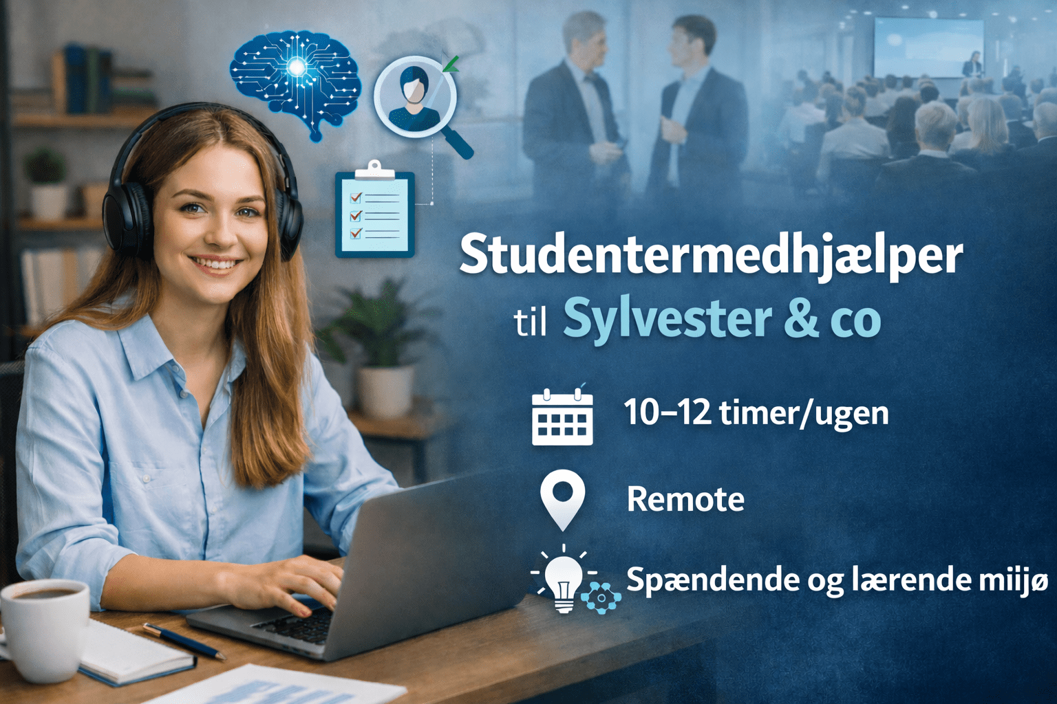 Studentermedhjælper til Sylvester & co