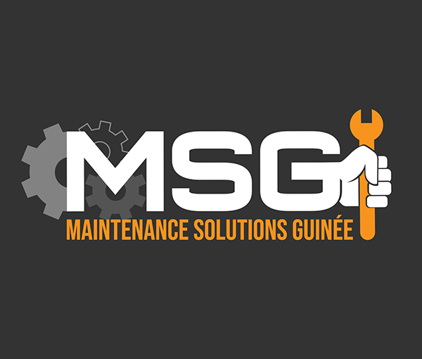 Maintenance Solutions Guinee
