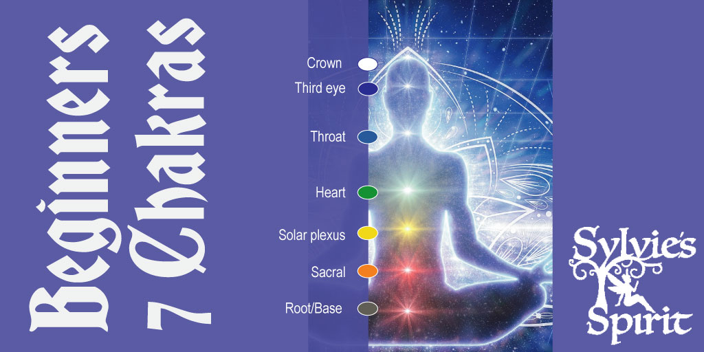 SylviesSpiritBeginners7chakras