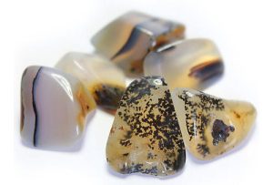 Sylvies Spirit Dendritic Agate